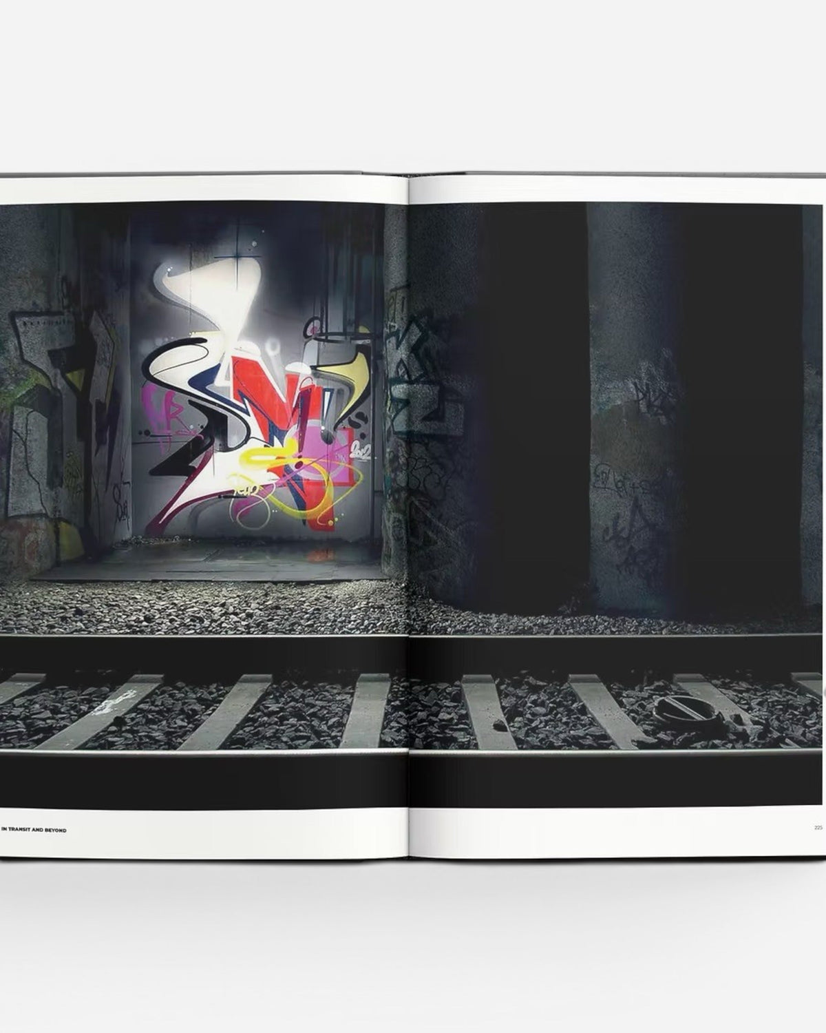 Astrofat Art In Transit And Beyond Hallenkunst book featuring vibrant graffiti art on a wall next to train tracks.