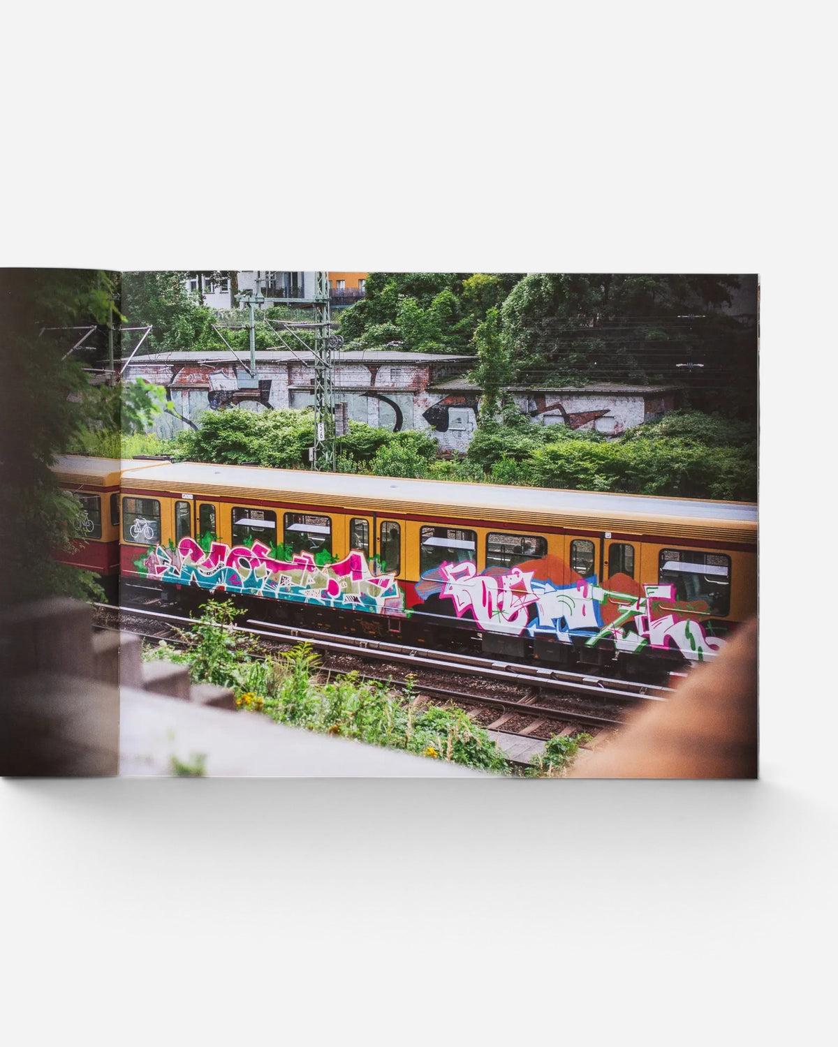Astrofat Farbzüge photography book open to a page showing a graffiti-covered Berlin train moving through greenery.