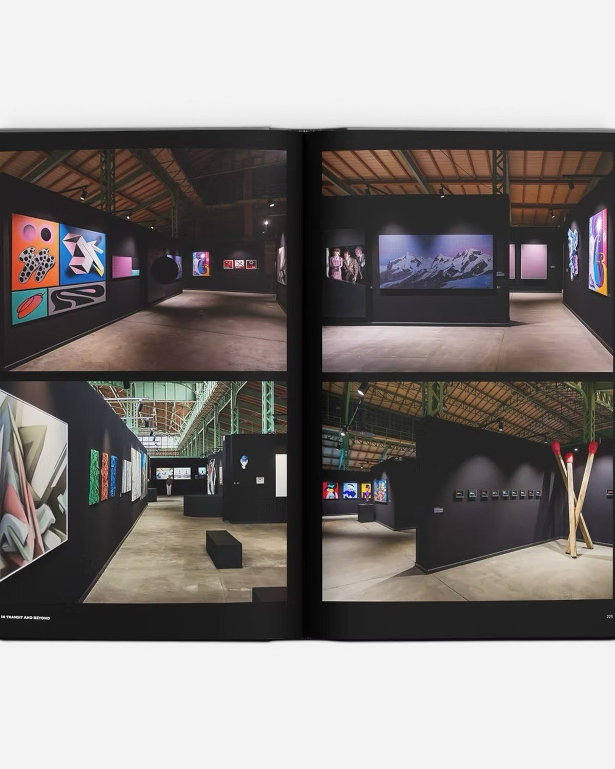 Astrofat Art In Transit And Beyond Hallenkunst exhibition catalog featuring diverse contemporary art displays in a modern gallery setting.