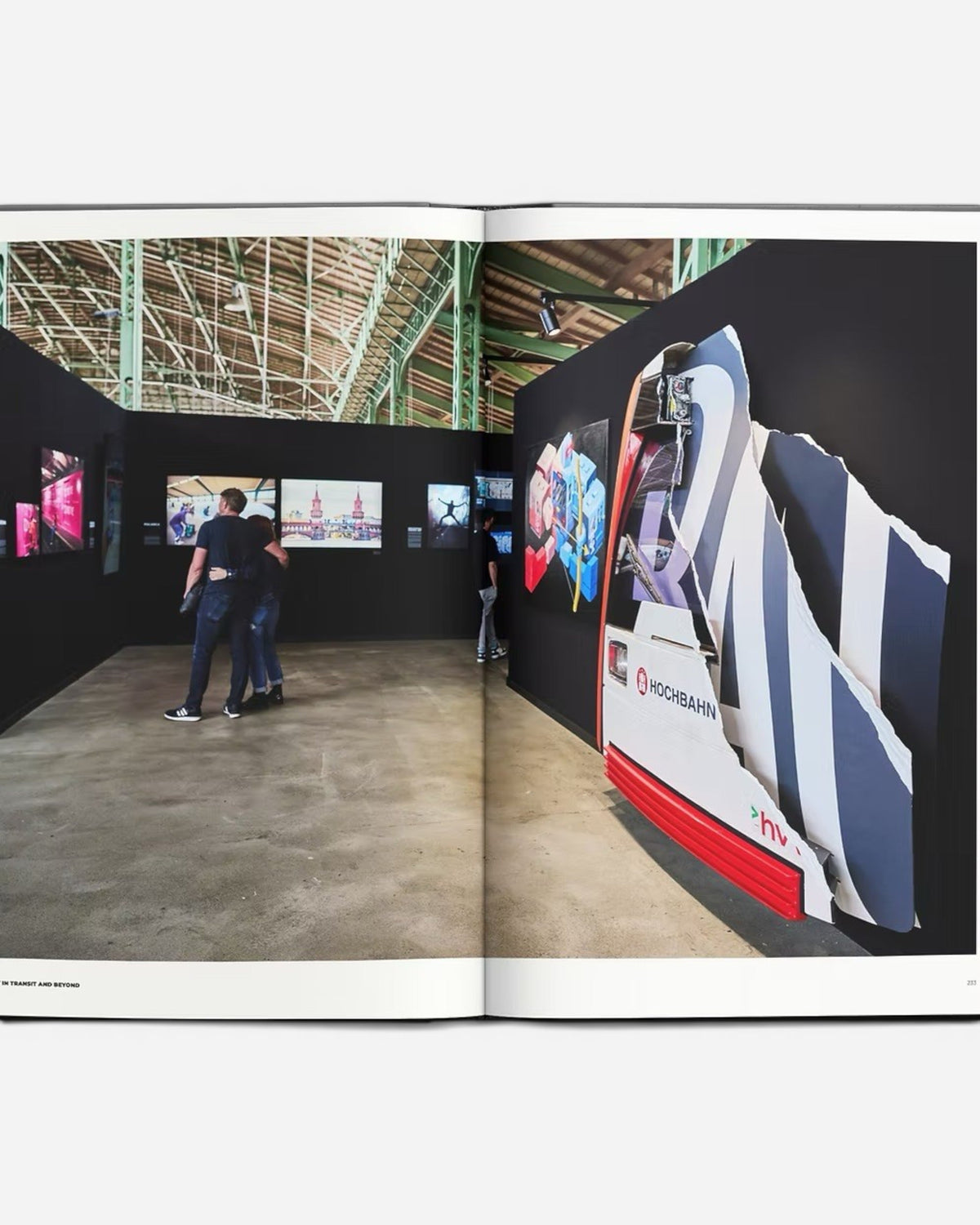 Astrofat Art In Transit And Beyond Hallenkunst exhibition catalog featuring graffiti art and installations.