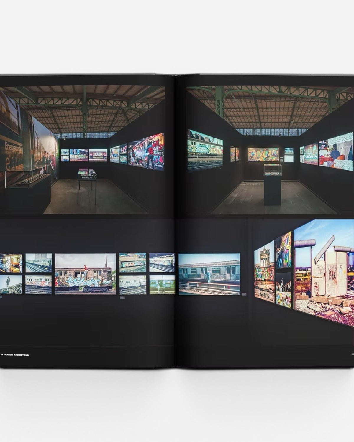 Astrofat Art In Transit And Beyond Hallenkunst exhibition catalog, featuring graffiti art on trains and walls.