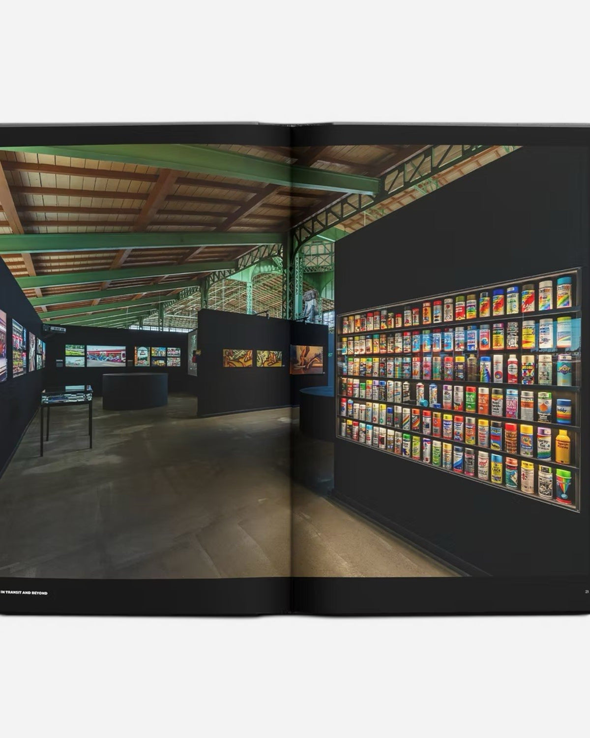Astrofat Art In Transit And Beyond Hallenkunst exhibition catalog featuring a wall display of spray paint cans.